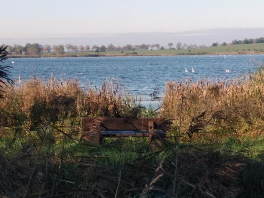 Steinhagen  Ferienwohnung Nahe Der Ostsee المظهر الخارجي الصورة